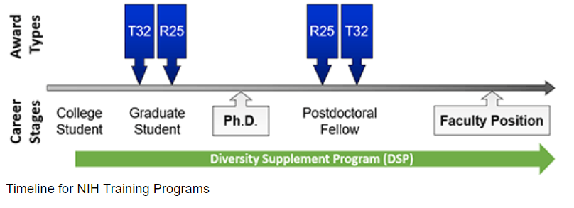 Timeline for NIH Training Programs