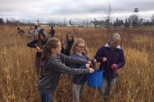 Students of the Marshall Central Schools collect seeds from prairie plants in the district's outdoor classroom